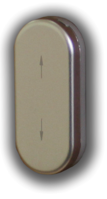 R01.1-Серебро натуральное