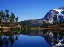 12 февраля 2016 года